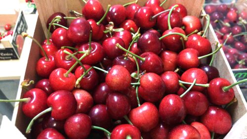 productor-cerezas